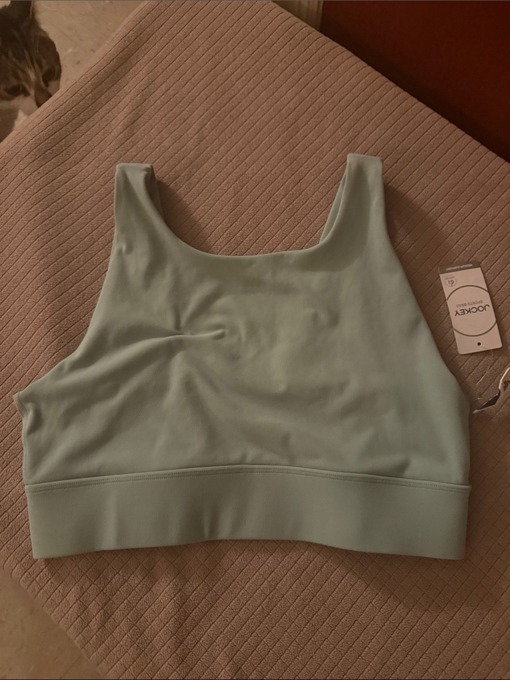 Jockey Mint Green Scoop Bralette
